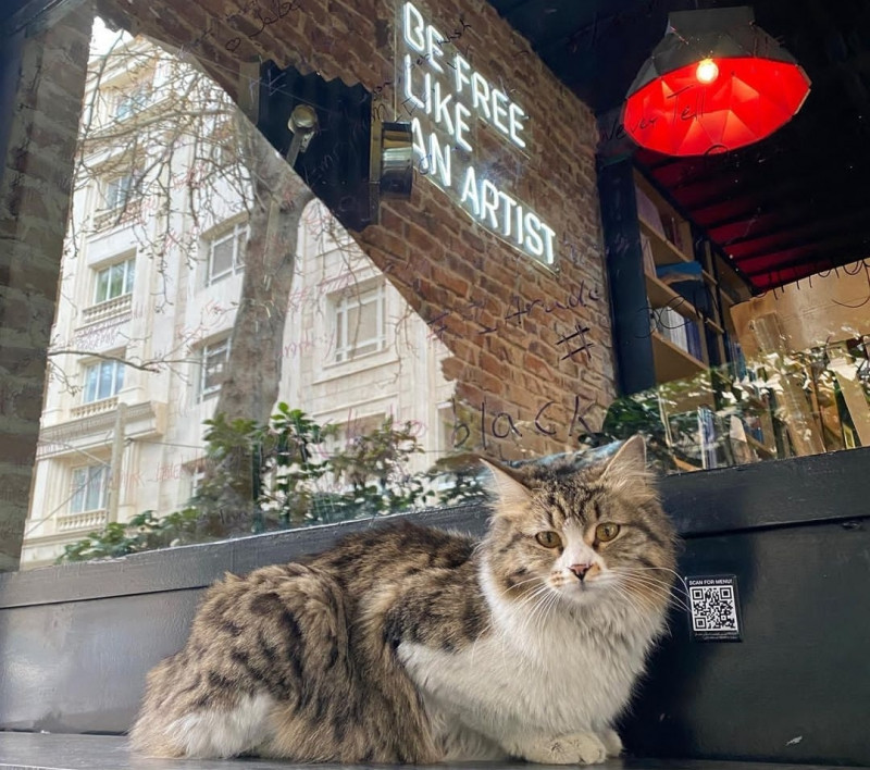 کافه گالری آرتیست در سکشن های زیر نیرو استخدام میکند