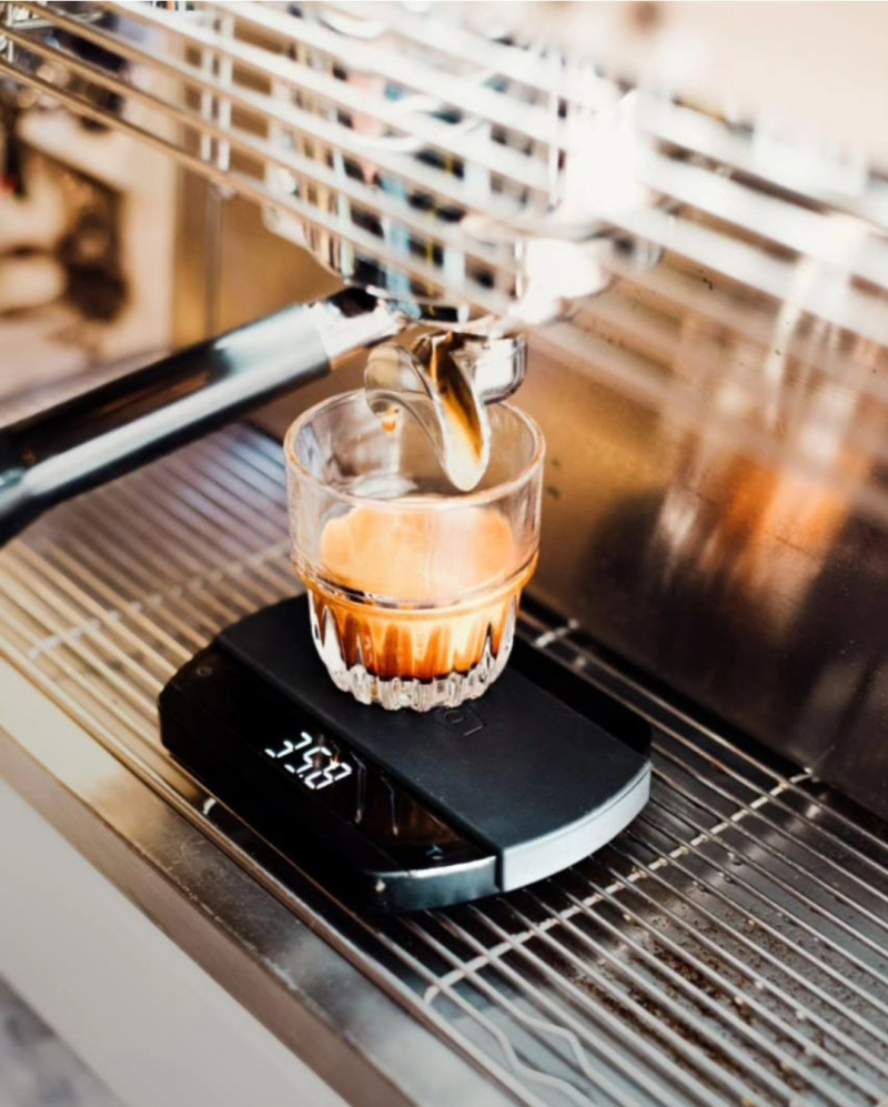 کافه رستوران کورتادو نیرو استخدام میکند