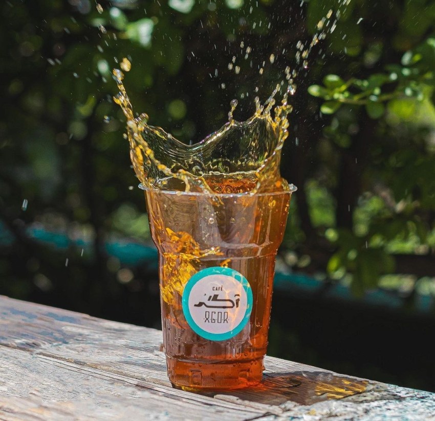 استخدام سالنکار