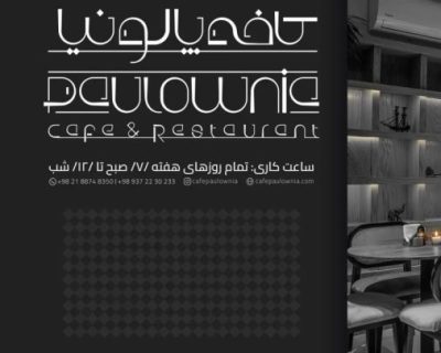 استخدام سالنکار