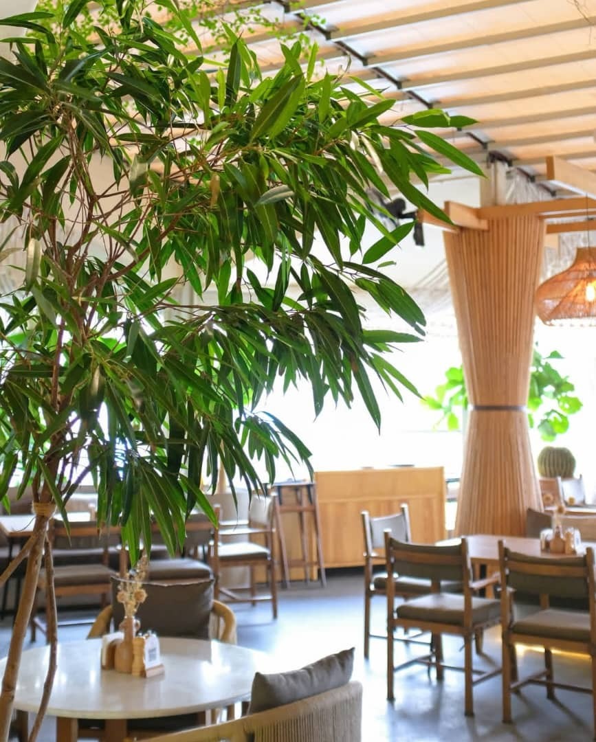 آگهی استخدام صندوقدار در مجموعه آولی