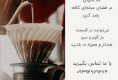 استخدام نیروهای باانگیزه برای بار و سالن